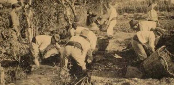 LA HUERTA VALENCIANA