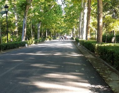 PASEO POR EL PARQUE DE MARÍA LUISA