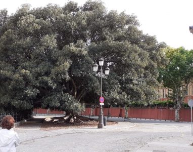 RELATO DE UN DÍA EN SEVILLA